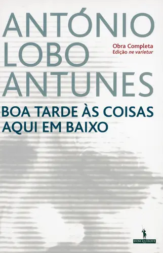 Capa do artigo Boa Tarde Às Coisas Aqui Em Baixo (NV)