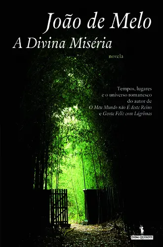 Capa do artigo A Divina Miséria