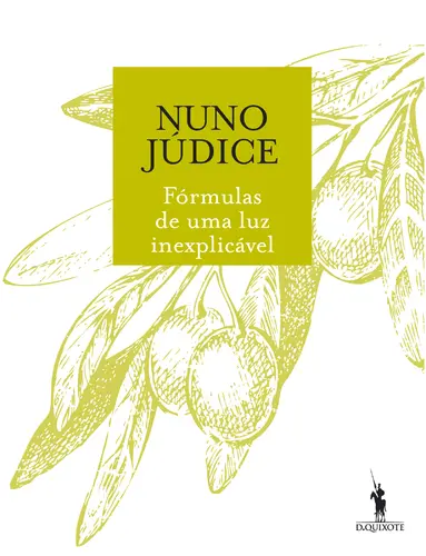 Capa do artigo Fórmulas de Uma Luz Inexplicável
