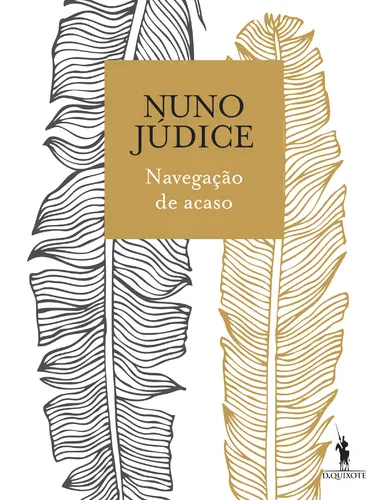 Capa do artigo Navegação de Acaso