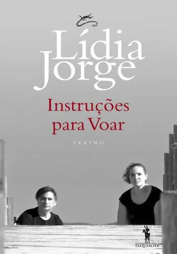 Capa do artigo Instruções para Voar
