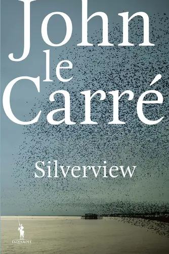 Capa do artigo Silverview