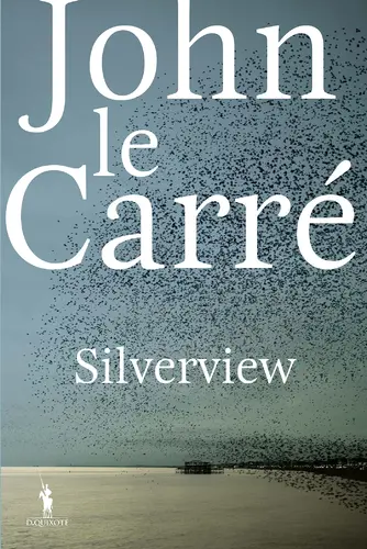 Capa do artigo Silverview