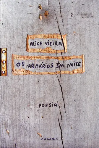 Capa do artigo Os Armários da Noite