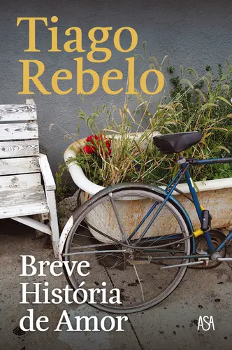 Capa do artigo Breve História de Amor