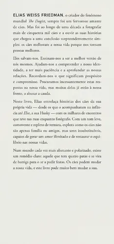 Este Cão Vai Mudar a sua Vida - (Imagem 3 de 4)