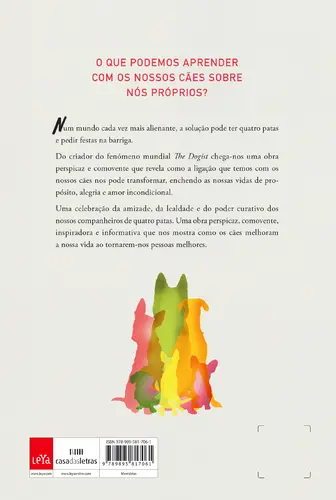 Este Cão Vai Mudar a sua Vida - (Imagem 2 de 4)