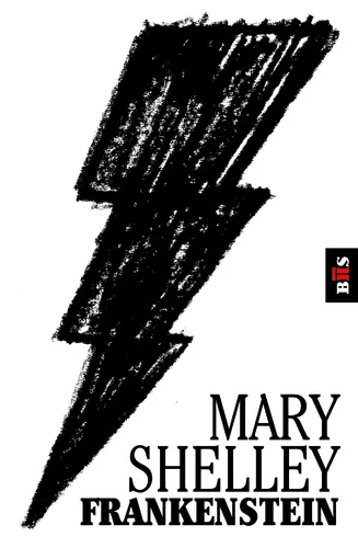 Capa do artigo BIS - Frankenstein