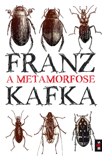 Capa do artigo BIS - A Metamorfose