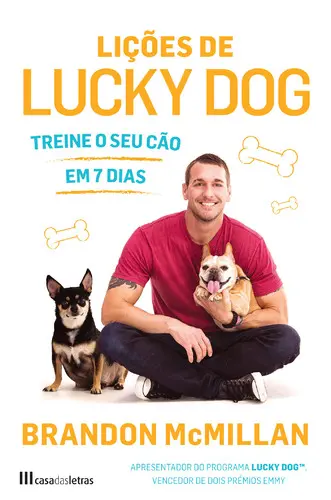 Capa do artigo Lições de Lucky Dog