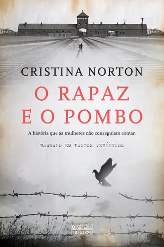 Capa do artigo O Rapaz e o Pombo