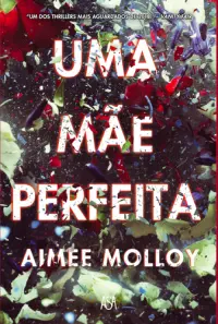 Uma mãe perfeita